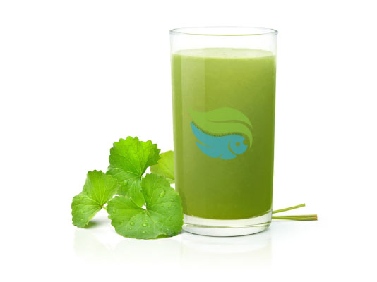 Nước ép rau má đông lạnh - www.sieuthidonglanh.com