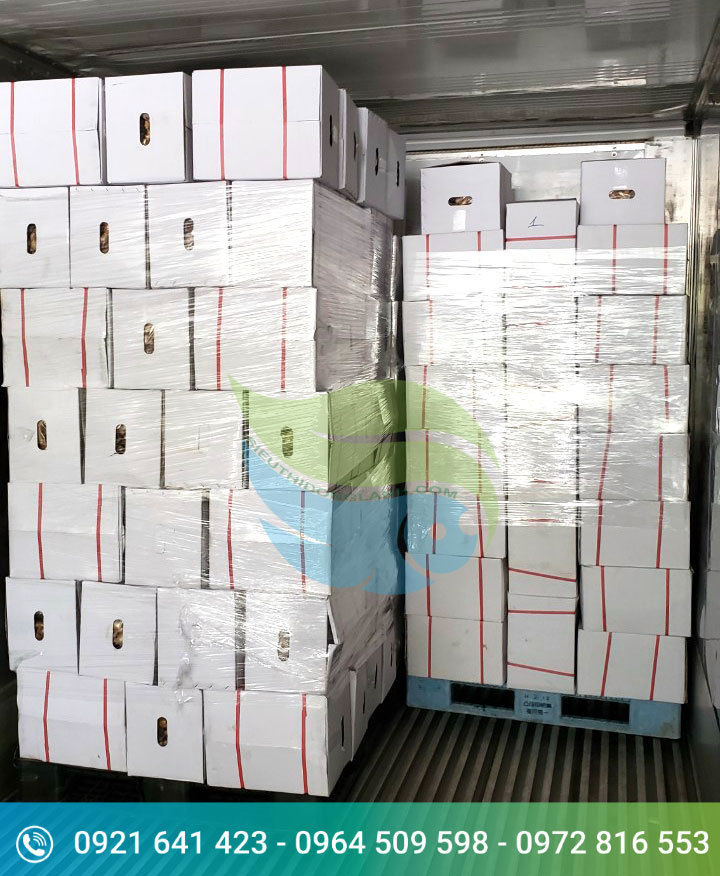 Xuat-khau-gung-tuoi-la-mot-hoat-dong-chu-luc-cua-Tan-Gia-Thanh