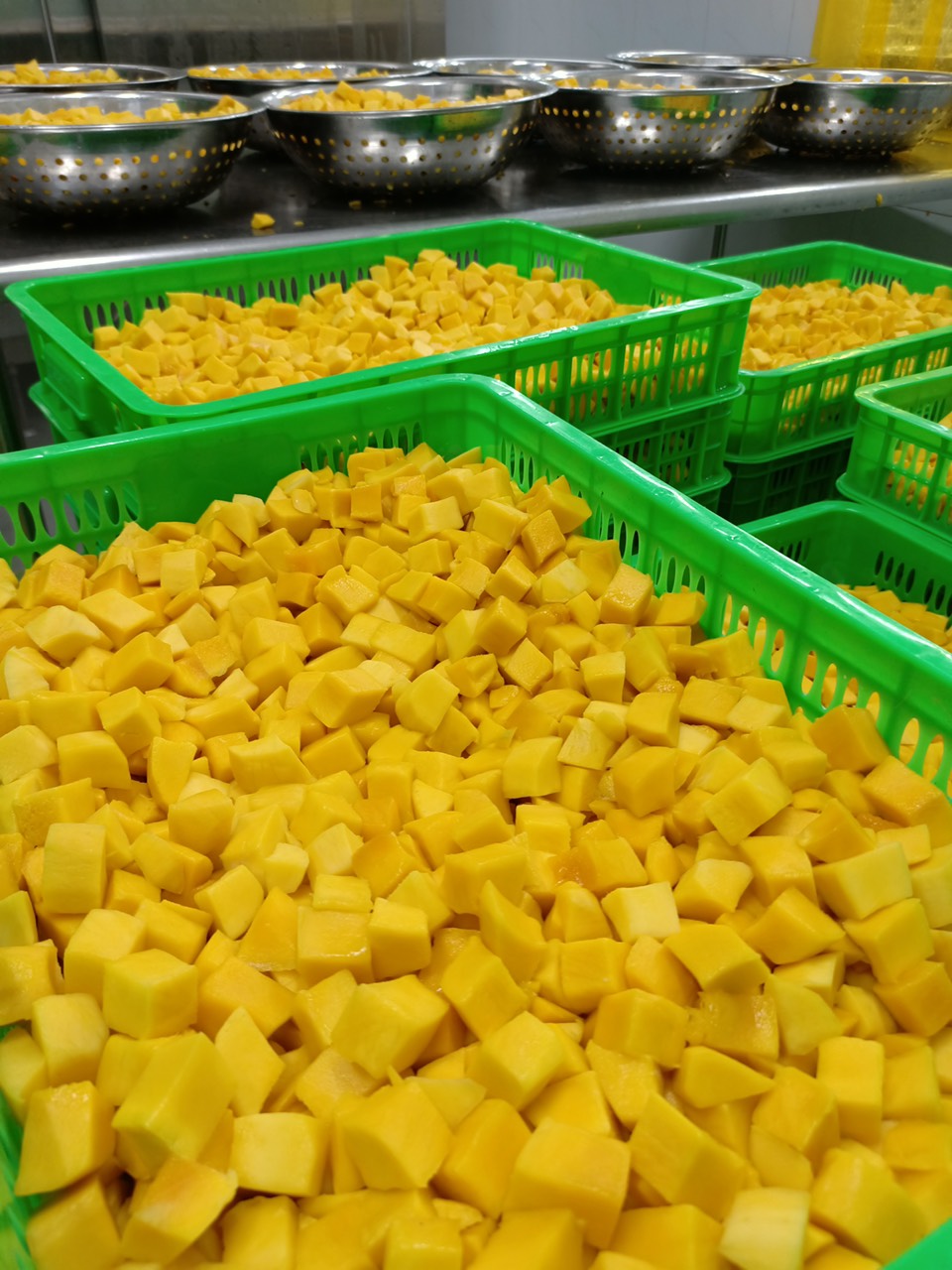 Nhà máy sản xuất trái cây đông lạnh xuất khẩu đảm bảo các tiêu chuẩn về ATVSTP