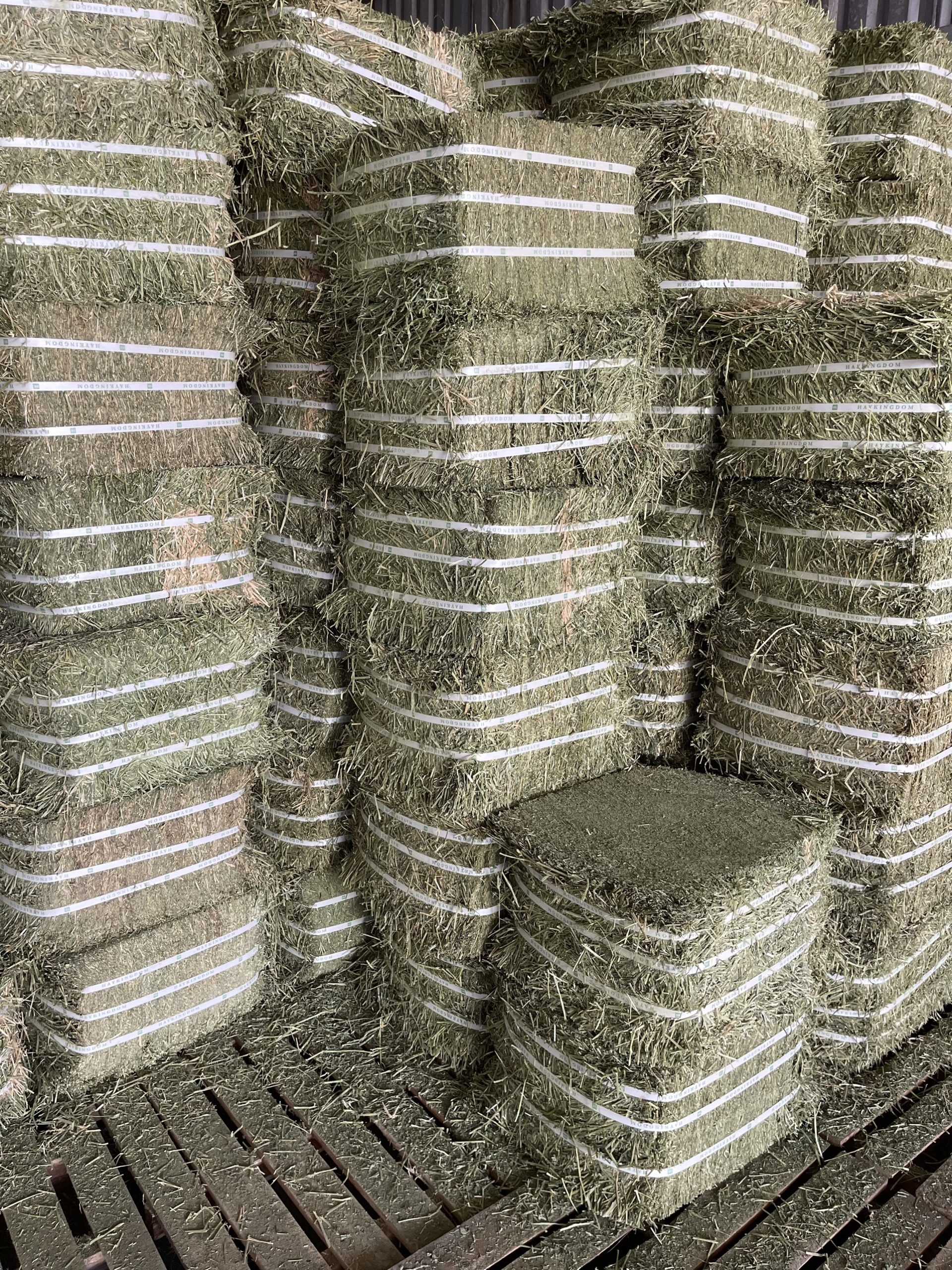 Cỏ khô Alfalfa dạng bánh nhập khẩu từ Mỹ