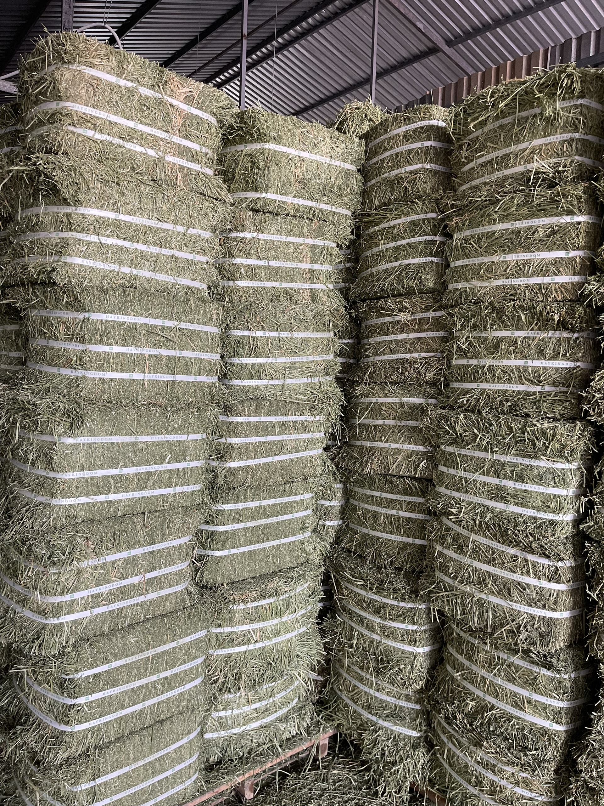 Công ty chúng tôi luôn là đơn vị uy tín để mua cỏ khô alfalfa tại Việt Nam