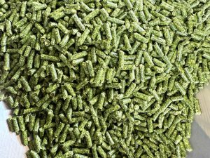 Cỏ viên cho gà đá